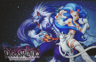 Woman cats sky stars painting - two cat free wallpaper