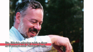 Man beard playing cellphone smiling - scene free wallpaper