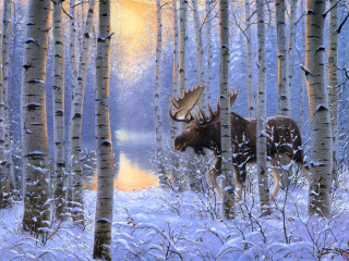 Moose snowy forest trees water - kinkade free wallpaper