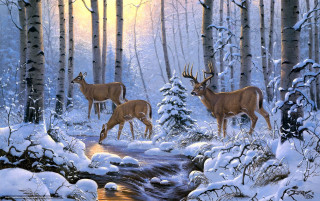 Deer snowy forest stream sunset - brothers hildebrandt free wallpaper for desktop