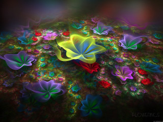 Colorful flower psychedelic butterfly glowing - a colorful flower free wallpaper