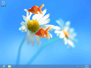 Goldfish flower blue sky white - computer art free wallpaper
