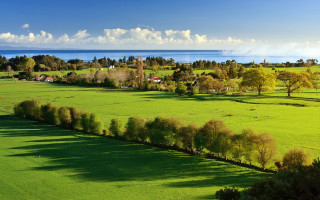 Lush green field trees water - a lush green field free wallpaper