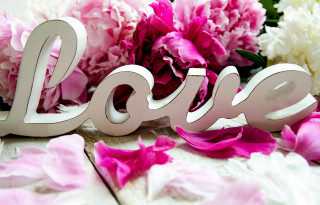Love flowers petals table closeup - love free wallpaper for desktop