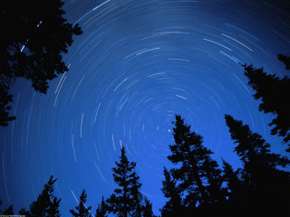 Night sky stars circle trees - dennis h. farber free wallpaper