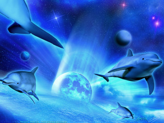 Dolphins swimming ocean planet stars - chris moore free wallpaper