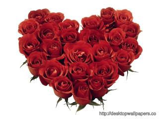 Heart shaped red roses white 4 - text free wallpaper
