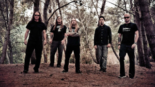 People forest guitar group trees - one person holding free wallpaper for desktop