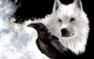 Wolf bird red eyes black - red eye free wallpaper