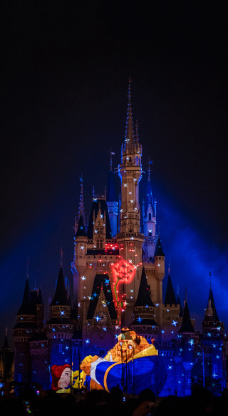 Castle lit up night flag - free neon wallpaper