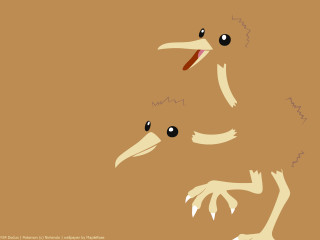 Bird two eyes long beak - a long beak free wallpaper for desktop