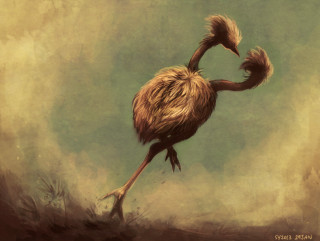 Long necked bird standing outdoors - its beak open free wallpaper