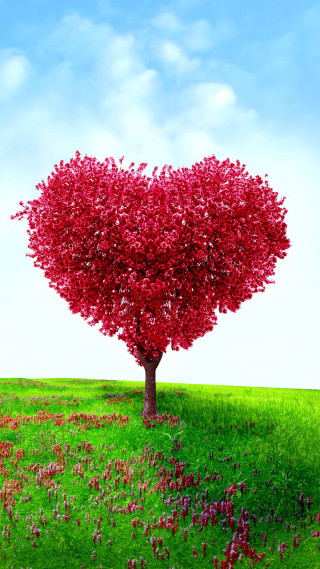 Heart tree flower field sunny - free hearts wallpaper for mobile