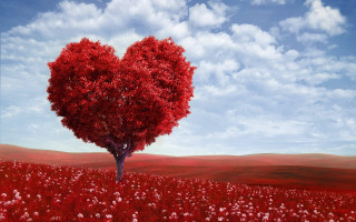 Heart shaped tree field flowers 2 - didier mouron free wallpaper