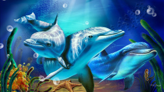 Dolphins swimming ocean starfish corals 3 - digital painting free wallpaper