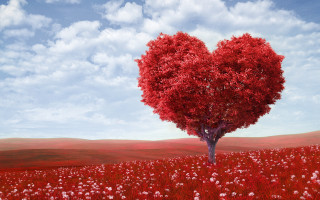 Heart shaped tree field of - a heart free wallpaper for desktop