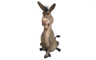 Donkey big smile happy legs - a big smile free wallpaper
