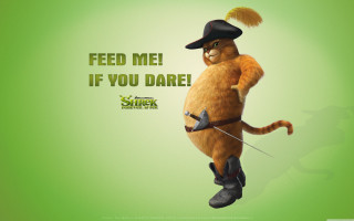 Cat hat sword green eyes - his hand and a caption free wallpaper