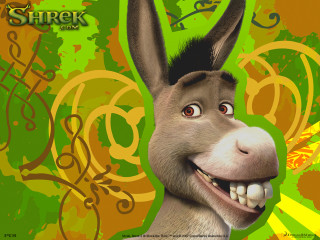 Donkey funny face green background - its face and mouth free wallpaper