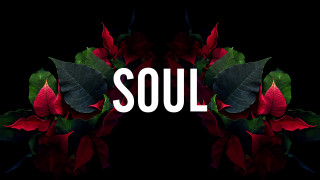 Black background red flower soul - camille souter free wallpaper