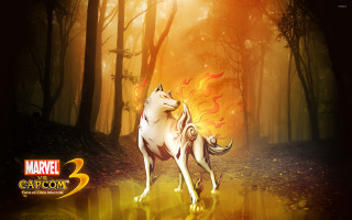 White wolf forest fire yellow - a white wolf free wallpaper