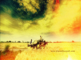 Horse carriage wheat field cloudy - cinematic matte painting free wallpaper for desktop
