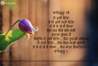 Flower quote foreign wooden bapu - a picture of a flower free wallpaper