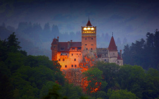 Castle clocktower night forest fog - the air free wallpaper