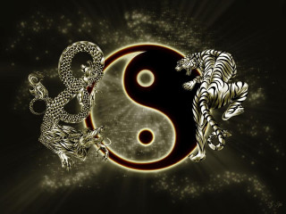 Tiger white tiger yin yang - symmetrical balance free wallpaper