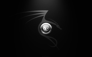 Dragon black white photo background - a tattoo free wallpaper for desktop