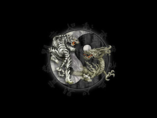 White dragon couple illusion magic - symmetrical balance free wallpaper