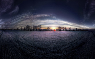 Field trees sky clouds sunset - wide angle len free wallpaper for desktop