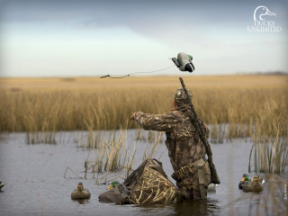 Camouflage man duck fishing marsh - duck free wallpaper