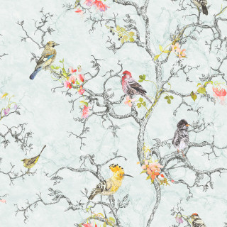 Flock birds tree branch flowers - top of a tree branch free wallpaper for tablet