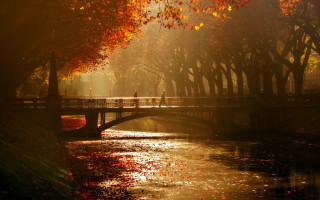 Bridge river person walking trees - the bridge free wallpaper