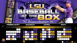 Baseball player calendar lsu football - a baseball player free wallpaper