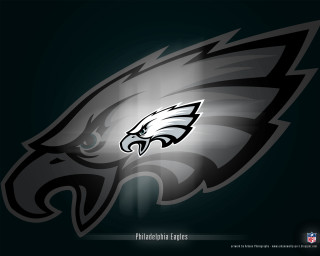 Eagles logo light shine black - a white eagle free wallpaper