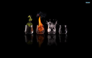 Glasses plant table black background 2 - christian w. staudinger free wallpaper for desktop
