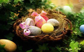 Basket filled eggs green field 5 - a lush green field next free wallpaper