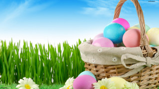 Basket colorful eggs grass flowers - top of a grass free wallpaper for desktop