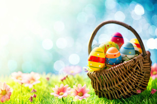 Basket colorful painted eggs green - painted free wallpaper for desktop