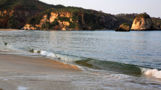 Beach wave mountain trees shore - the shore free wallpaper