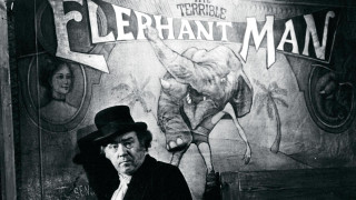 Man top hat suit elephant - a man in a top hat free wallpaper for desktop
