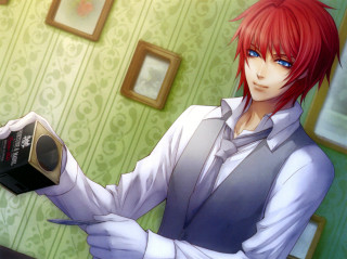 Man holding camera green walls 2 - picture free wallpaper