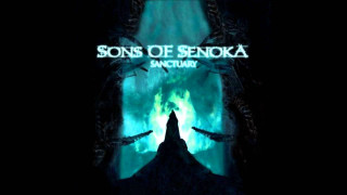 Dark forest silhouette person green - a silhouette of a person free wallpaper