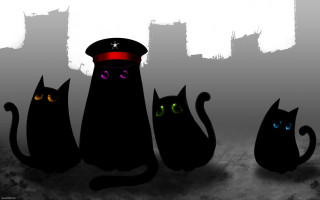 Black cats glowing eyes hats - socialist free wallpaper