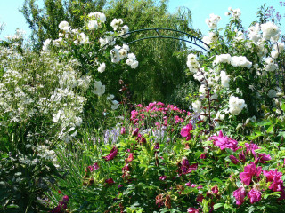 Garden flowers metal arch spring - blanche hoschedé monet free wallpaper