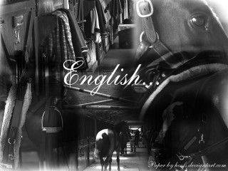 Horse saddle black white photo - a horse in the background free wallpaper