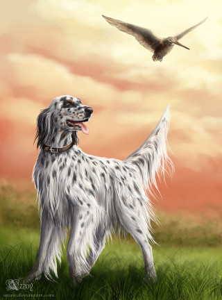 Dog field bird flying sky - a digital painting free wallpaper for mobile