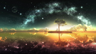Tree sky reflection water stars - the water and a sky free wallpaper